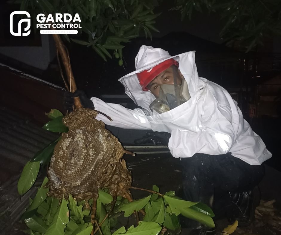 Jasa Pengusir Tawon dan Lebah Basmi Sampai Tuntas