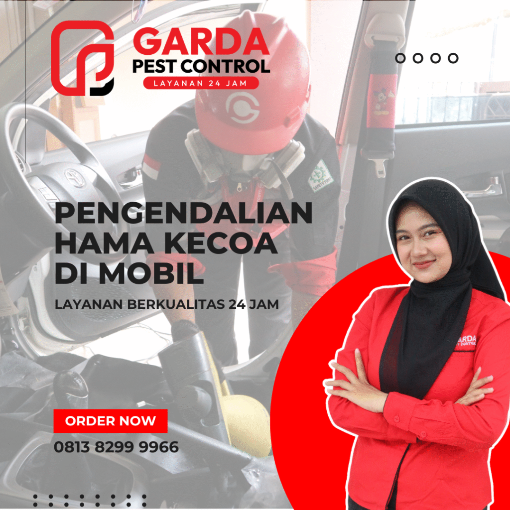 Jasa Fogging Kecoa Mobil di Bekasi Solusi kecoa hilang total