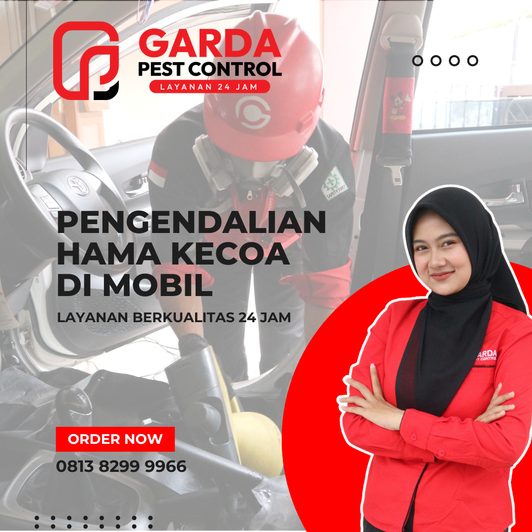 Jasa Pengendalian Hama Kecoa di Mobil