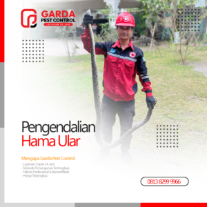 Jasa Pawang Ular Terdekat di Bekasi Pembasmi Ular Profesional