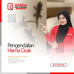 Jasa Pembasmi Cicak Terdekat di Bekasi Harga Murah