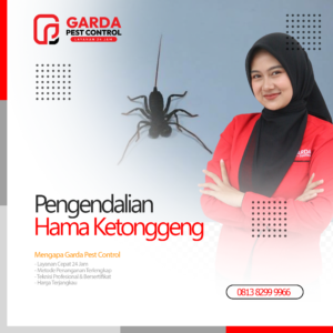 Jasa Pembasmi Ketonggeng Terdekat di Bekasi Garda Pest Control