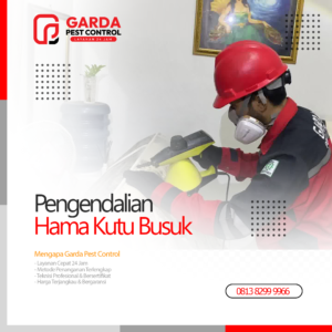 Jasa Pembasmi Kutu Kasur Terdekat & Terbaik di Bekasi