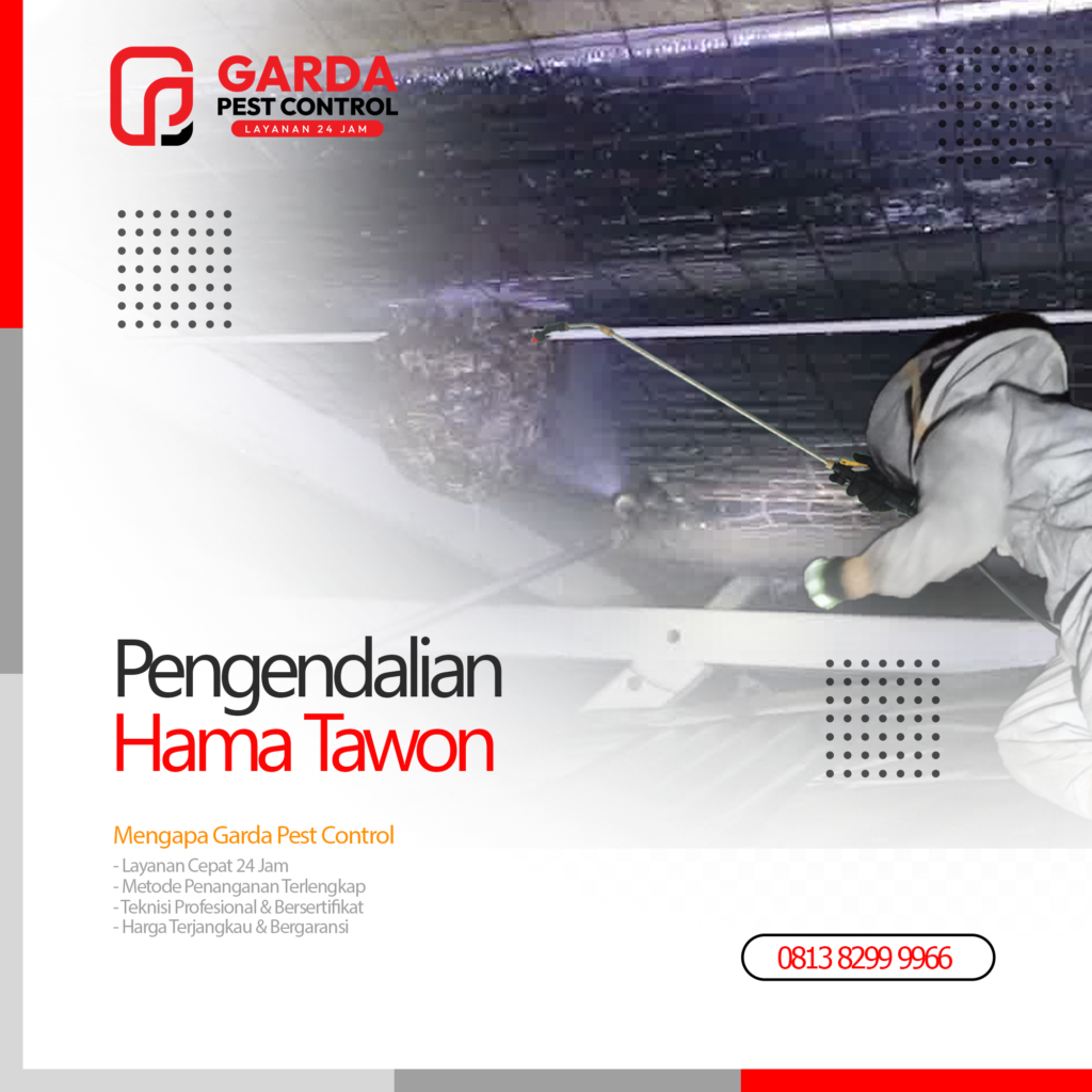 Jasa Pembasmi Tawon di Bekasi Cepat Tanggap 24 Jam