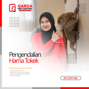 Jasa Pembasmi Tokek Terdekat di Bekasi Panggilan 24 Jam