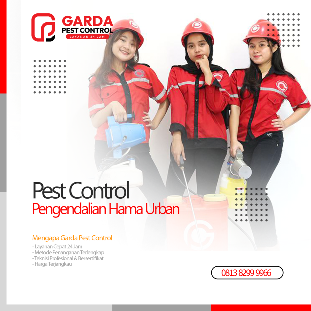 Jasa Pest Control Pembasmi Semut di Bekasi Terdekat Pembasmi Hama Urban di Bekasi