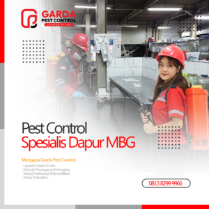 Jasa Pest Control Untuk Dapur MBG Terdekat