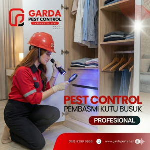 Jasa Pembasmi Kutu Kasur atau Kutu Busuk di Cikarang Bekasi