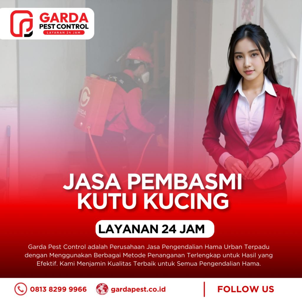 Jasa Pembasmi Kutu Kucing di Karpet dan Sofa Rumah Bekasi