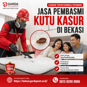 Biaya Jasa Pembasmi Kutu Kasur di Bekasi: Panduan Rincian Tarif dan Layanan Tuntas