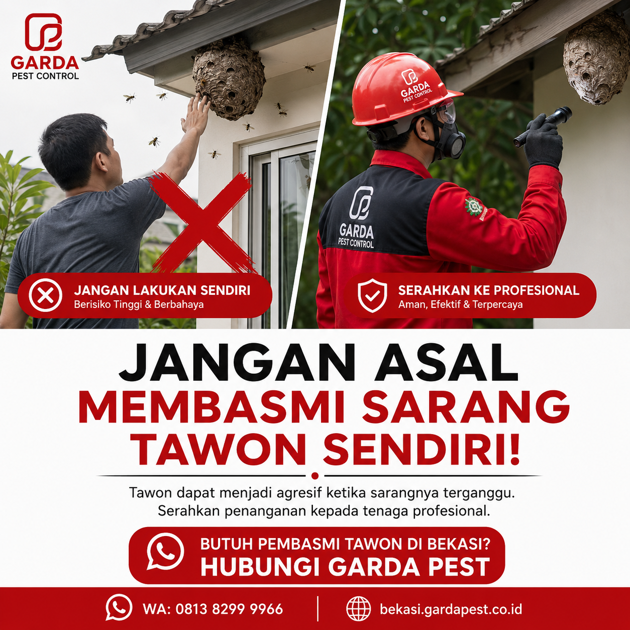 Bahaya Sengatan Tawon Vespa dan Penanganan Pertama Sebelum Petugas Datang Bekasi